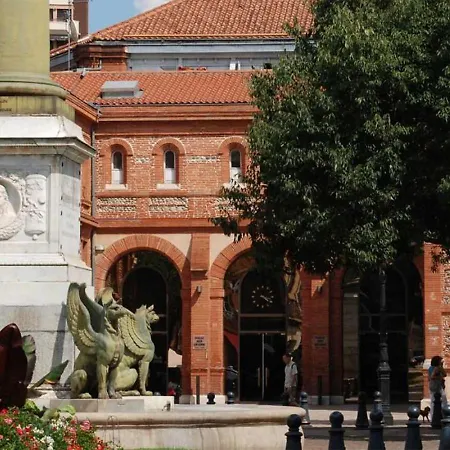 Appartement Proche Metro - Jardin Des Plantes - Canal Du Midi Toulouse